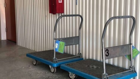 self storage carts