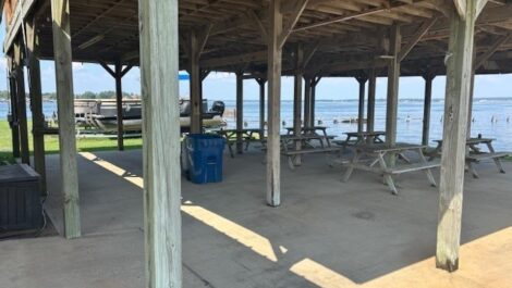 Lakeview Marina & Boat Storage picnic area