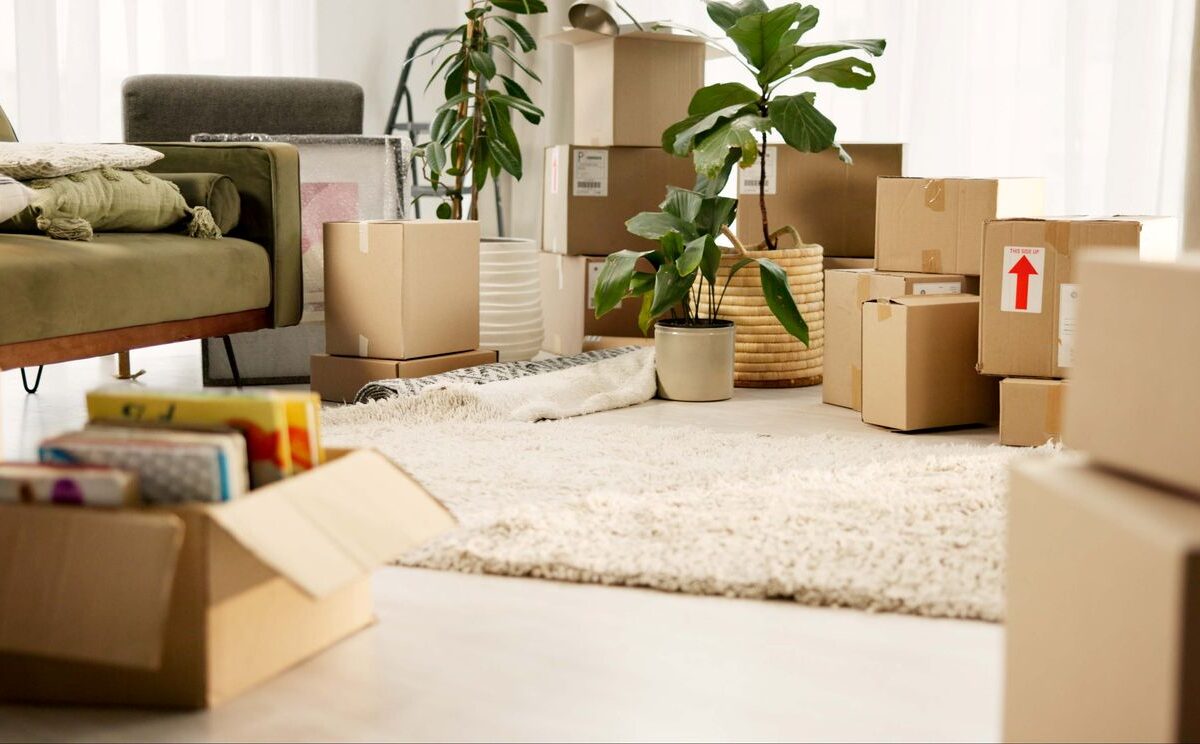 A house being readied for an estate cleanout. The living room is full of boxes.
